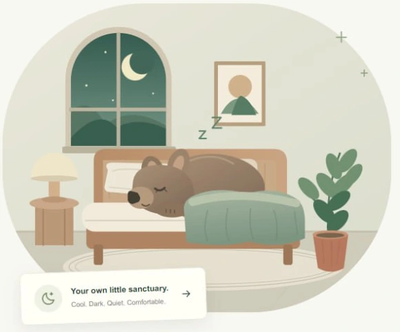 Illustration of a sleeping wombat in a cosy bedroom with a moonlit window and green bedding.